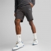 Puma Essential Better Shorts 10 Gri Şort (673295-75)