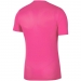 Nike Park Erkek Pembe Forma (BV6708-616)