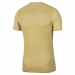Nike Park Vii Jersey Erkek Sarı Forma (BV6708-729)