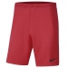 Nike Park III Erkek Kırmızı Şort (BV6855-635)