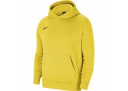 Nike Team Park 20 Hoodie Çocuk Sarı Sweatshirt (CW6896-719)