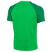 Nike Dri-FIT Academy Pro Erkek Yeşil Tişört (DH9225-329)