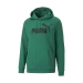 Puma Essentials Big Logo Erkek Yeşil Sweatshirt (586687-46)
