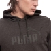Puma Essentials Big Logo Erkek Gri Kapüşonlu Sweatshirt (586688-07)