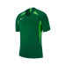 Dri-Fit Legend Erkek Yeşil Futbol Forma (AJ0998-302)