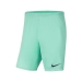 Nike Dri-Fit Park III Çocuk Yeşil Spor Şort (BV6865-354)