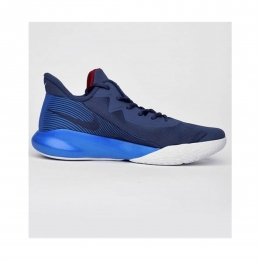 Precision IV Erkek Mavi Basketbol Ayakkabısı (CK1069-400)