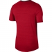 Dri-FIT Miler Erkek Kırmızı Koşu Tişörtü (CU5992-657)