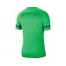 Academy 21 Erkek Yeşil Futbol Tişört (CW6101-362)