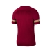 Dri-Fit Academy 21 Erkek Kırmızı Futbol Tişört (CW6101-677)