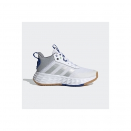 adidas Ownthegame 2.0 Basketbol Ayakkabısı (GW1553)