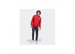 adidas Small Logo Tricot Erkek Kırmızı Eşofman Takımı (IC6784)