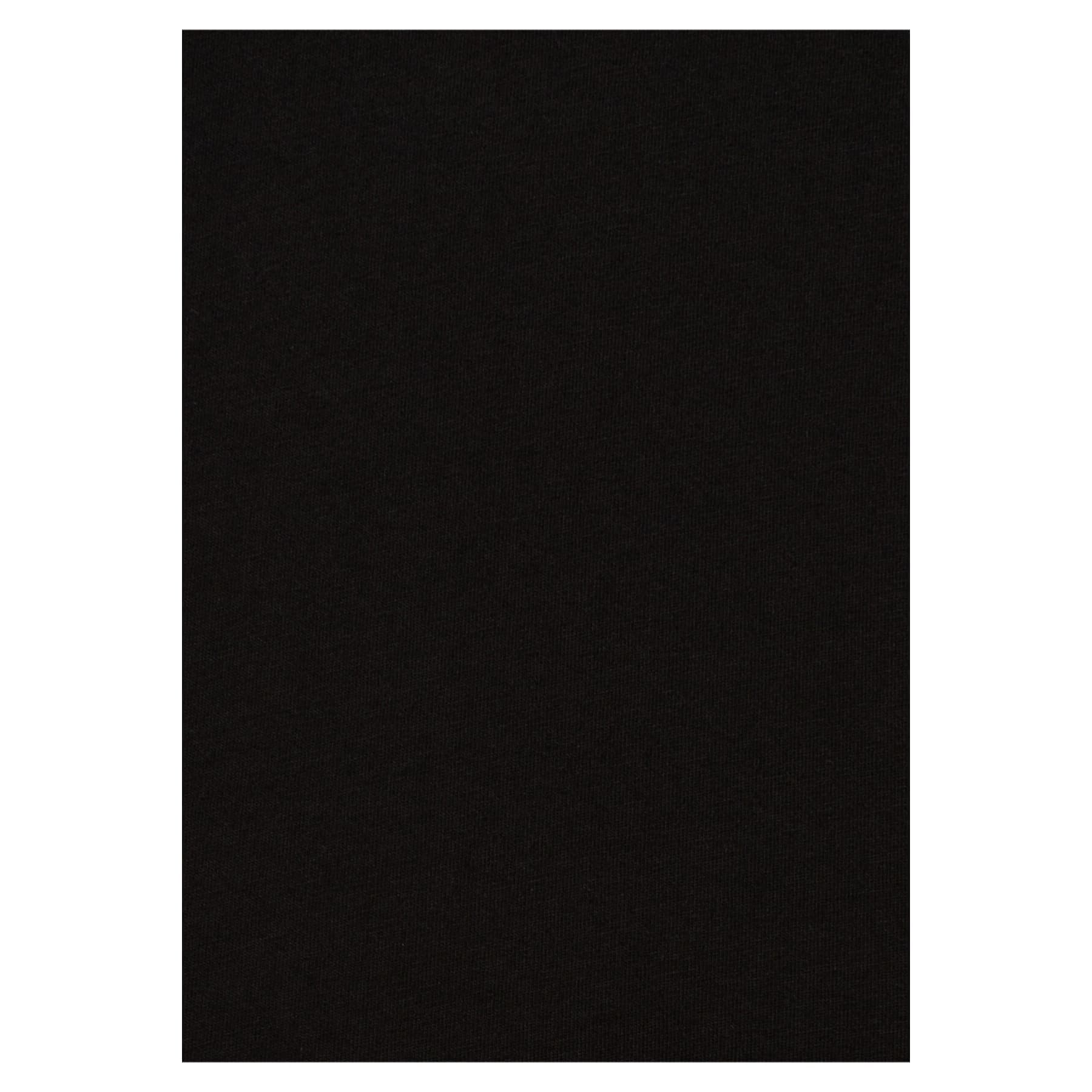 V Yaka Erkek Siyah Basic Tişört (065586-900)