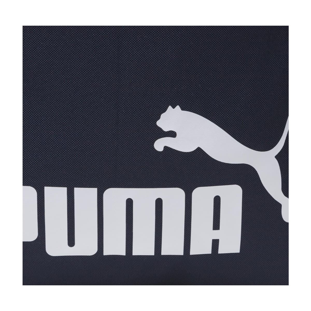 Puma Phase Siyah Spor Çantası (074943-43)