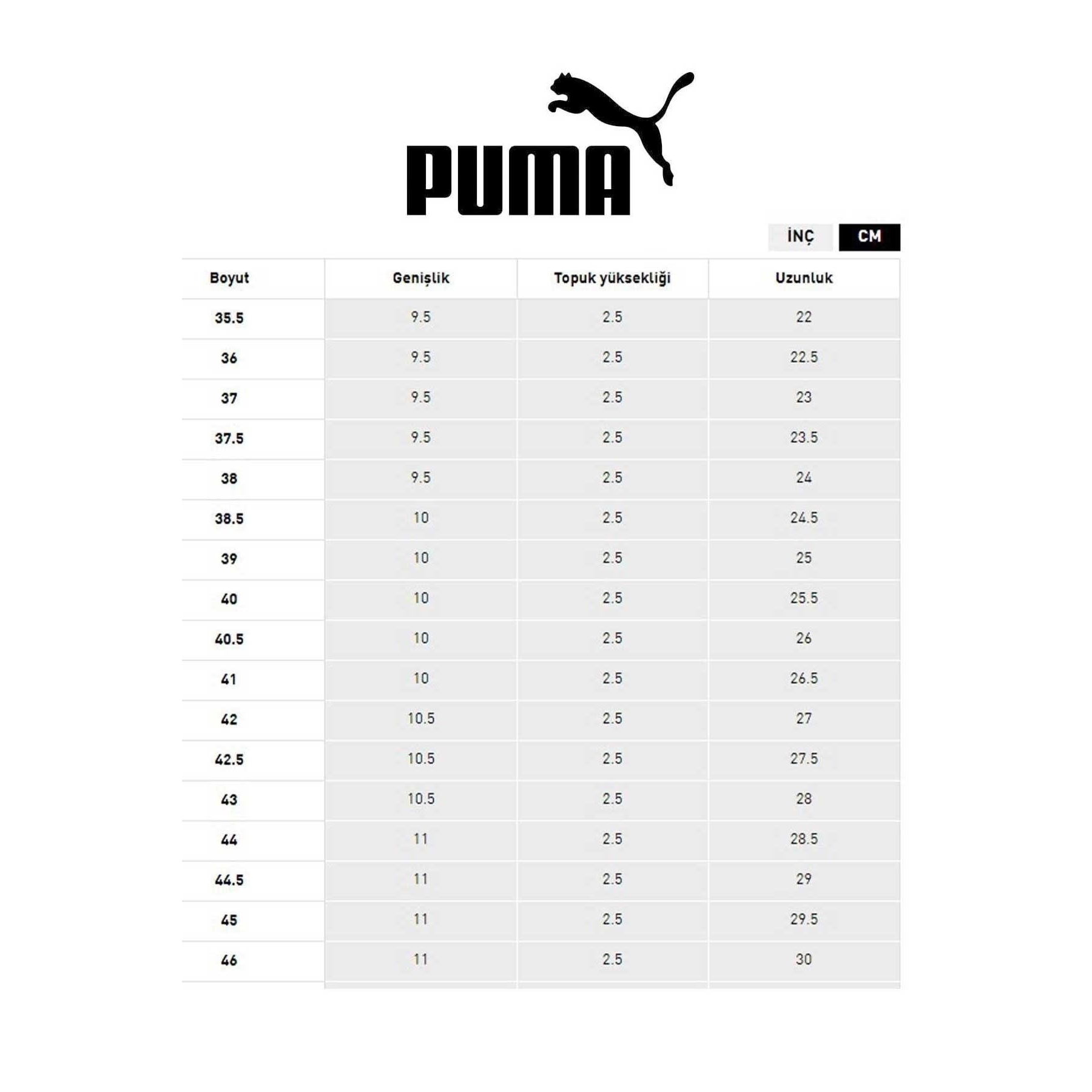 Puma Electron 2.0 Sport Erkek Siyah Koşu Ayakkabısı (387699-12)