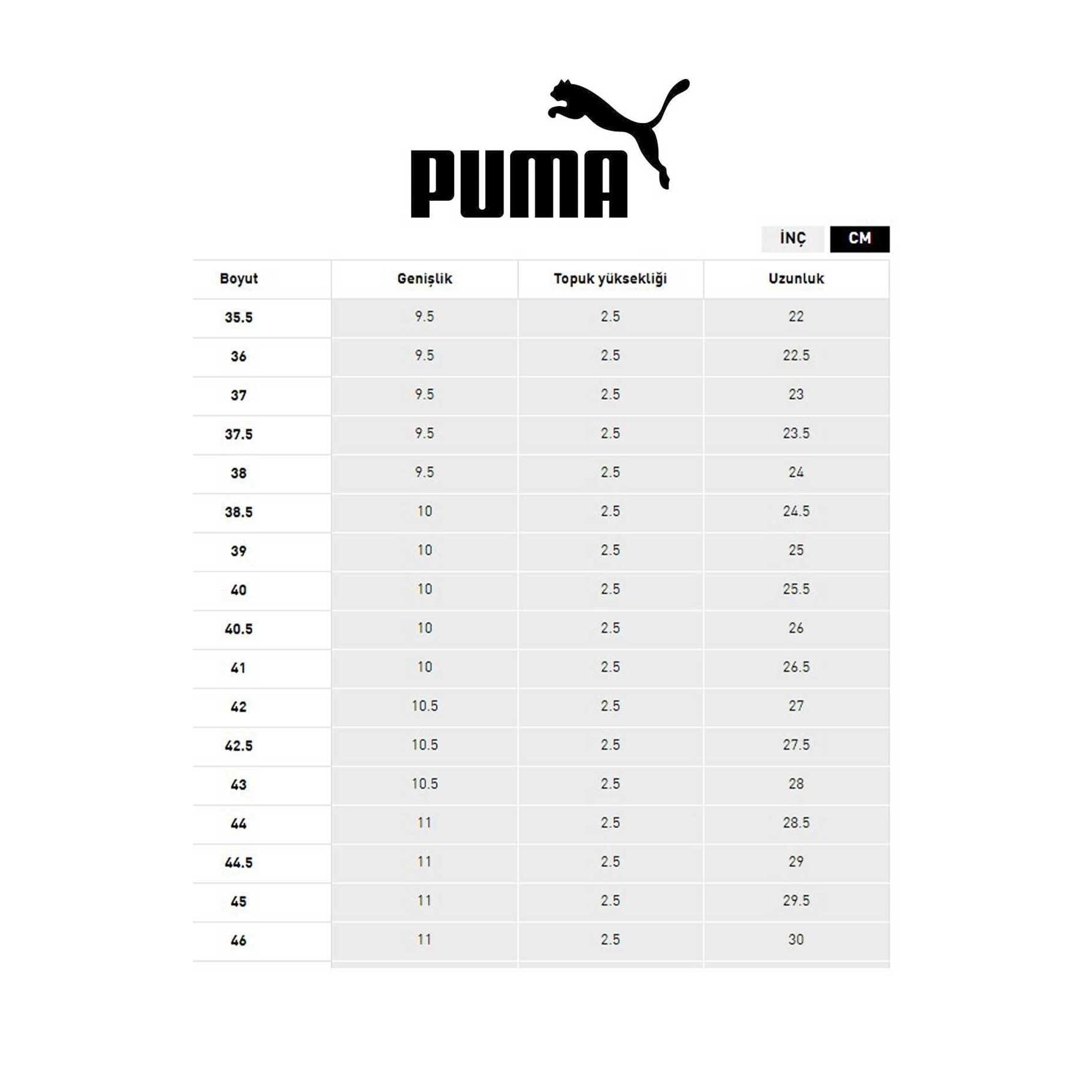 Puma Electron 2.0 Sport Cool Erkek Gri Koşu Ayakkabısı (387699-14)