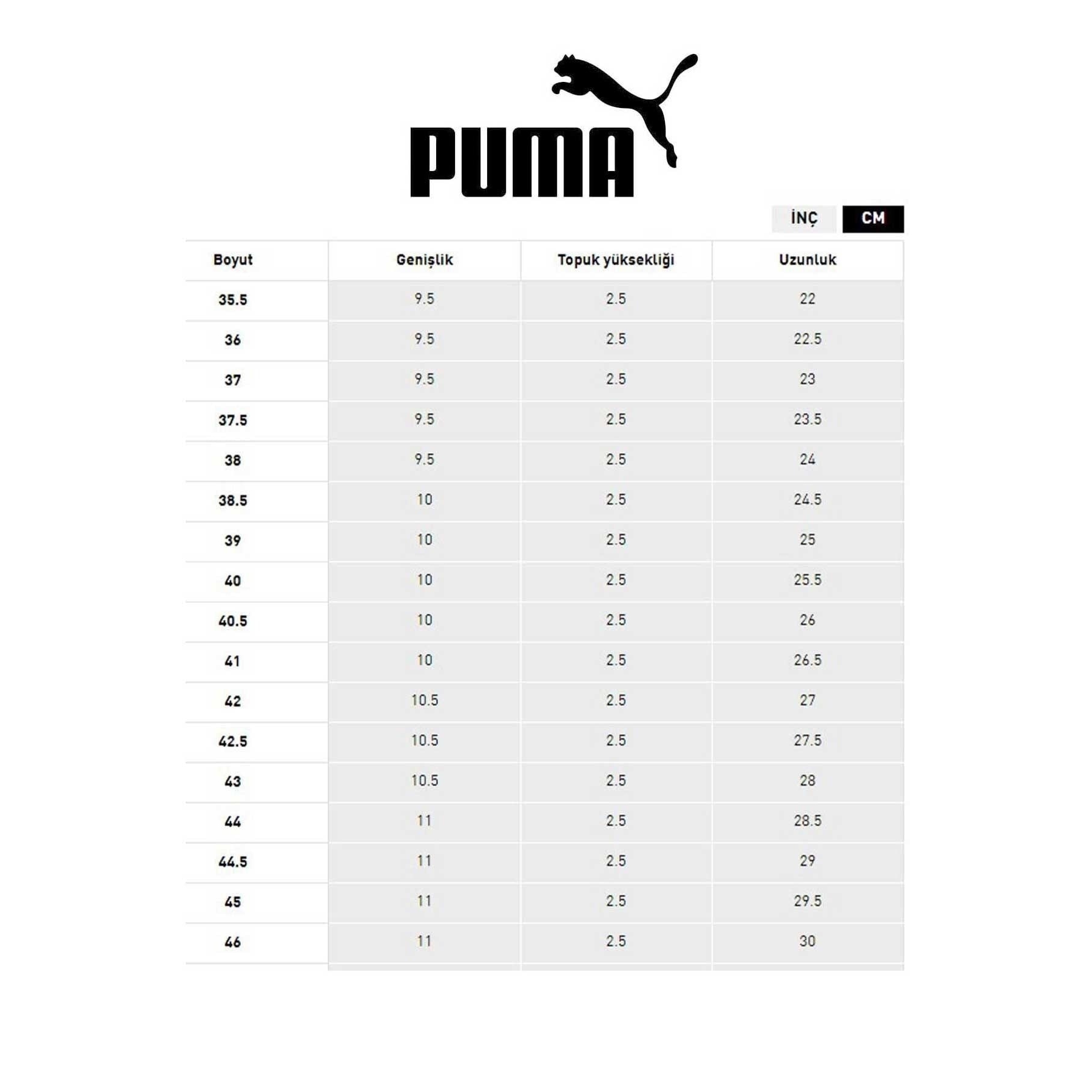 Puma Anzarun 2.0 Open Road Vapo Beyaz Koşu Ayakkabısı (389221-01)