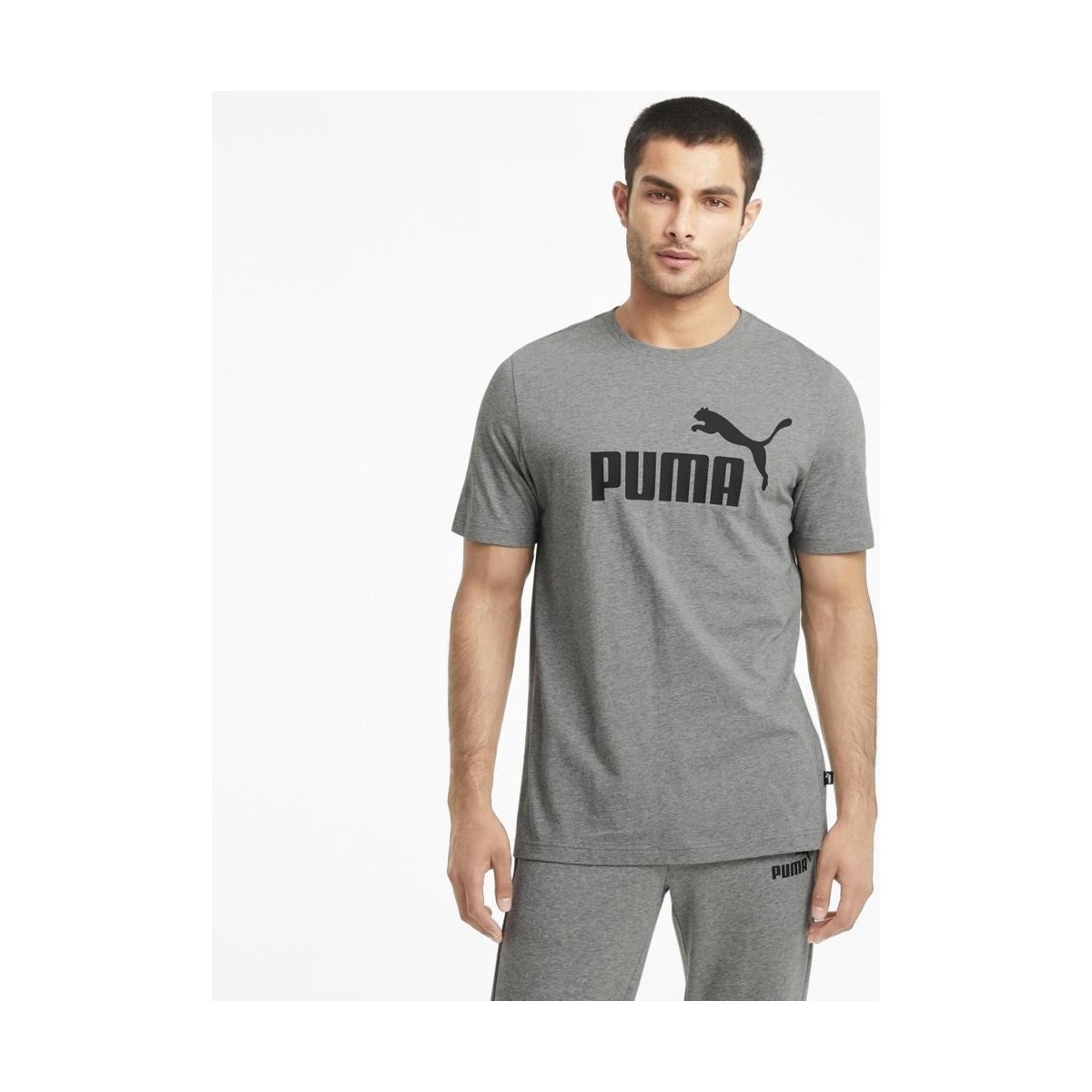 Puma Essentials Erkek Gri Tişört (586666-03)