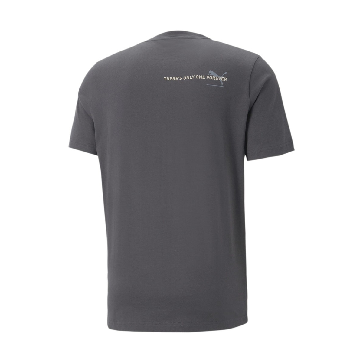 Puma Essentials Better Tee Flat Erkek Gri Tişört (673296-75)