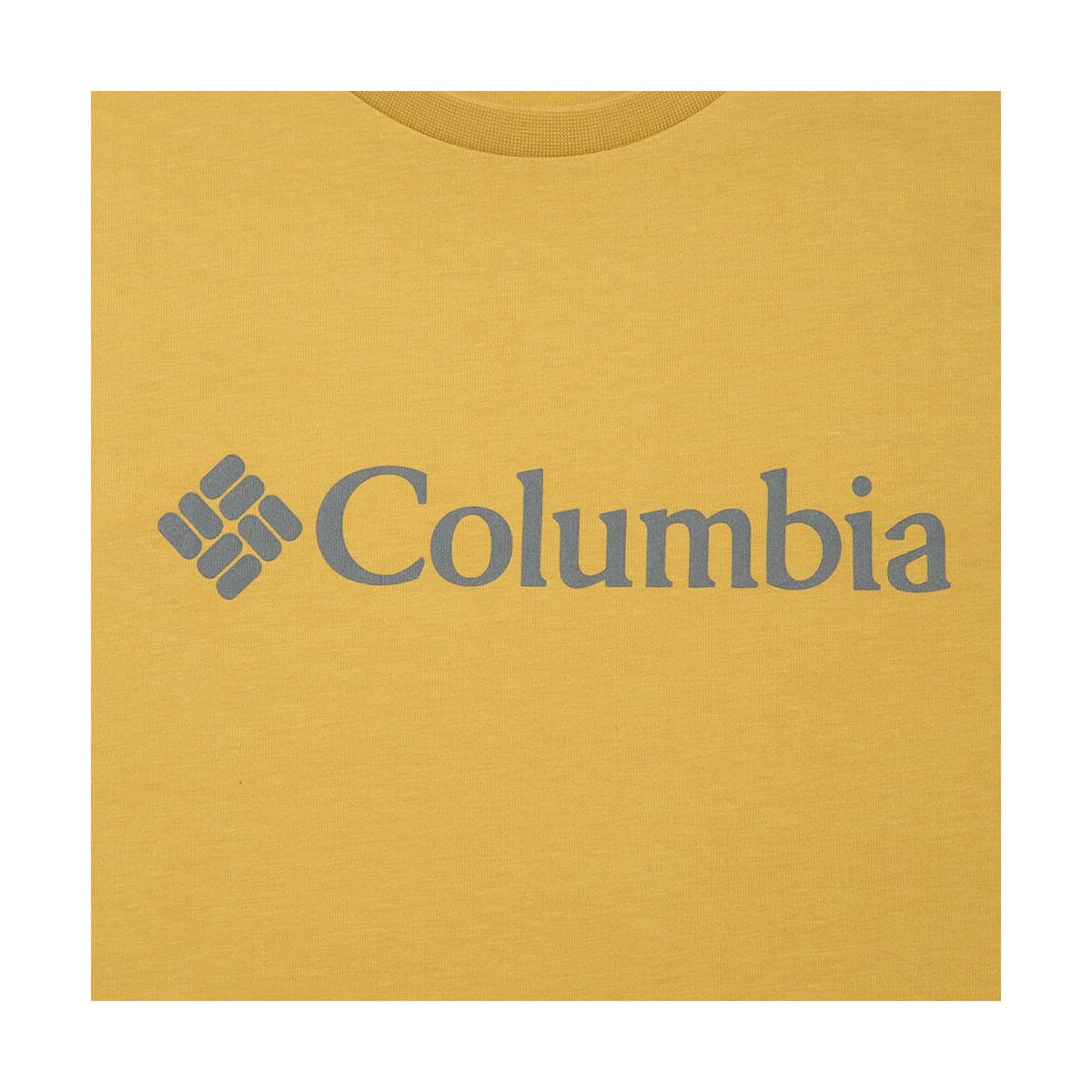 Columbia Csc Basic Logo Sarı Tişört (CS0001-718)