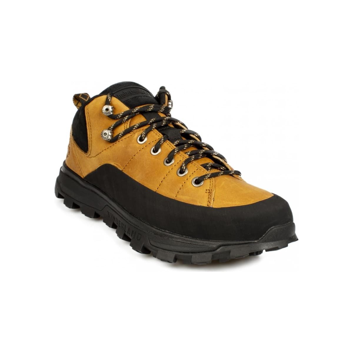timberland treeline low